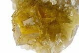 Gemmy, Yellow, Cubic Fluorite Crystal Cluster - Asturias, Spain #175533-2